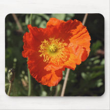 Amapola galesa (naranja) tapetes de raton