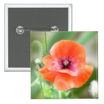 Amapola roja de Flandes Pin