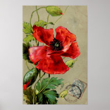Amapola roja del vintage - impresión poster