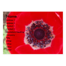 Amapola roja plantillas de tarjetas de visita