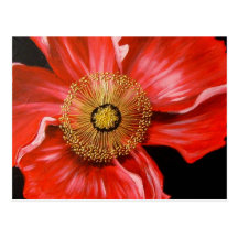 Amapola roja postal