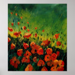 amapolas anaranjadas rojas 67 posters