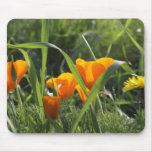 Amapolas de California Mousepad Alfombrillas De Raton