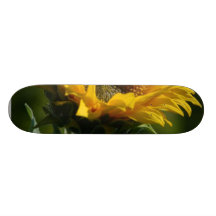 Amarillo del polen de los pétalos de los girasoles patín
