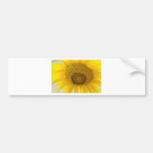 Amarillo eléctrico pegatina de parachoque