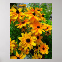 Amarillo suave… impresiones