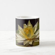 Amarillo waterlily taza de café
