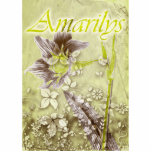Amarilys Esculturas Fotográficas