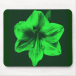 Amaryllis verde alfombrillas de ratón
