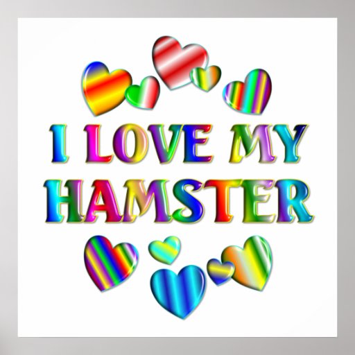 Ame mi poster del hámster