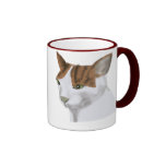 Ámeme amor mi gato tazas