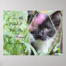 Ámeme poster del gatito