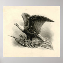 American Eagle 1898 Poster
