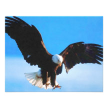 American Eagle calvo Anuncios Personalizados