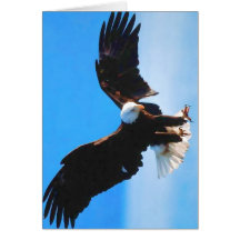 American Eagle calvo Felicitacion