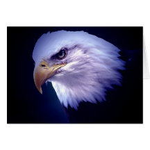 American Eagle calvo Felicitaciones