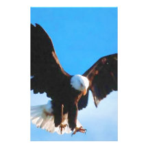 American Eagle calvo Papelería De Diseño
