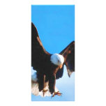 American Eagle calvo Diseño De Tarjeta Publicitaria