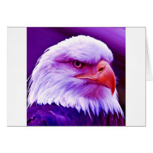 American Eagle calvo Tarjeton
