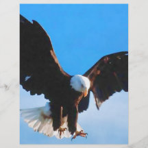 American Eagle calvo Tarjetón