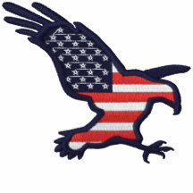 American Eagle Camiseta Polo Bordada