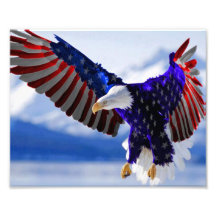 American Eagle Cojinete