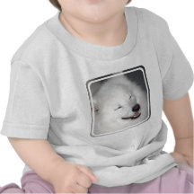american-eskimo-dog-5.jpg camisetas