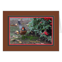 American_robin_7280 Tarjeta