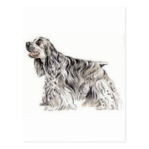 Americano cocker spaniel tarjeta postal