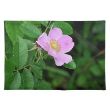 Americano MoJo Placemats del Wildflower Mantel Individual