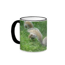 Amigos de la ardilla taza de café