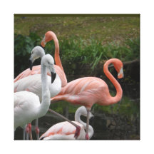 amigos de la pluma impresion en lona