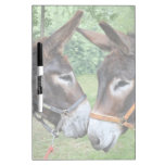 Amigos del burro pizarras blancas