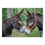 Amigos del burro tarjetón