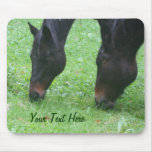 Amigos del caballo que pastan Mousepad animal Tapetes De Raton