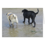 Amigos en la playa tarjeta