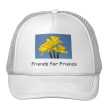 Amigos para los narcisos amarillos de los gorras d