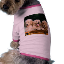 amigos_por_siempre1280x1024 camiseta de perrito
