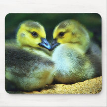 Amistad Tapete De Ratones