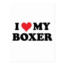 Amo a mi boxeador tarjeta postal