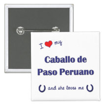 Amo a mi Caballo de Paso Peruano (el caballo femen Pin