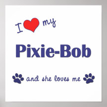 Amo a mi Duendecillo-Bob (el gato femenino) Posters