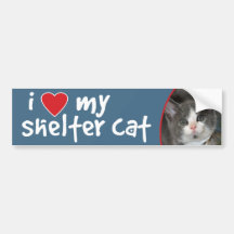 Amo a mi pegatina para el parachoques del gato del etiqueta de parachoque