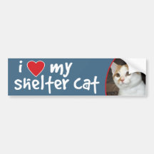 Amo a mi pegatina para el parachoques del gato del pegatina de parachoque