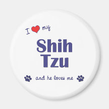 Amo a mi Shih Tzu (el perro masculino) Imanes