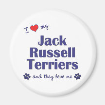 Amo a mis terrieres de Jack Russell (los perros mú Imán Para Frigorifico