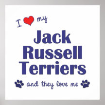 Amo a mis terrieres de Jack Russell (los perros mú Posters