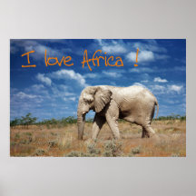 Amo África Poster
