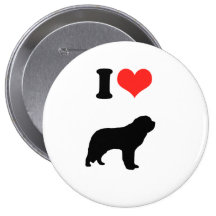 Amo al santo Bernards Pin