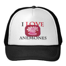 Amo anémonas gorros bordados